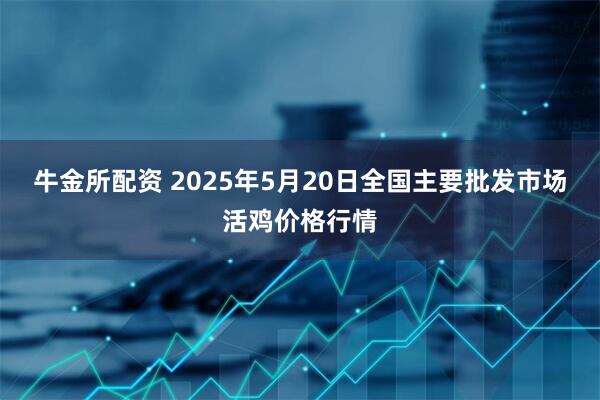 牛金所配资 2025年5月20日全国主要批发市场活鸡价格行情