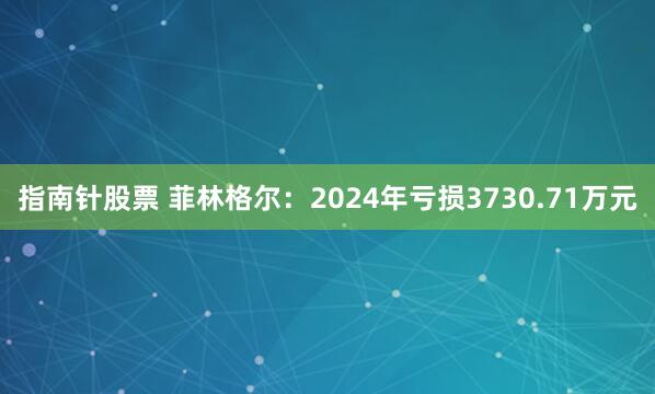 指南针股票 菲林格尔：2024年亏损3730.71万元